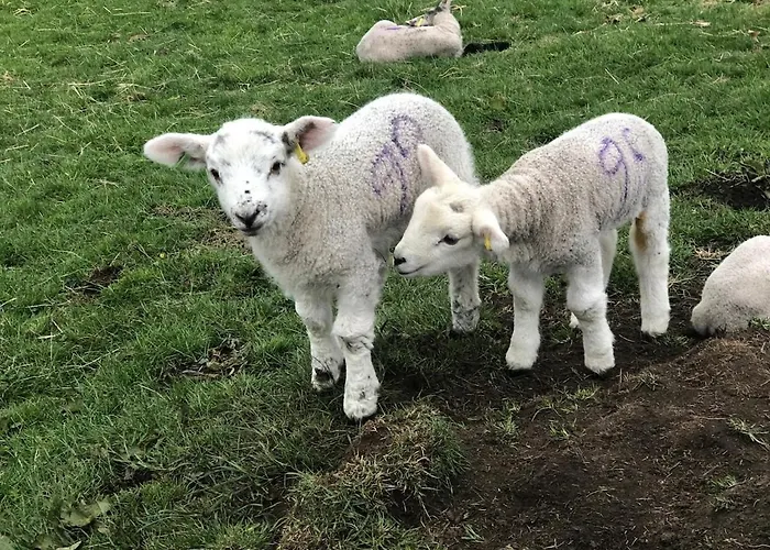 펜션 Rose Cottage. Family On The River
